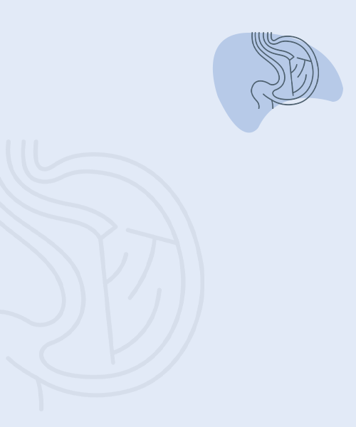 منظار الموجات فوق الصوتية